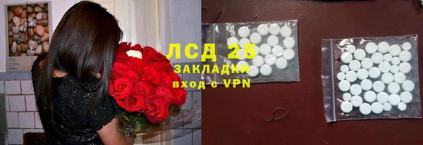 индика Арсеньев