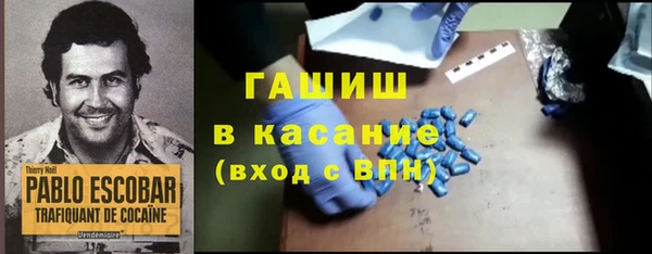 индика Арсеньев