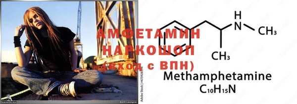 индика Арсеньев