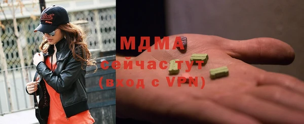 индика Арсеньев