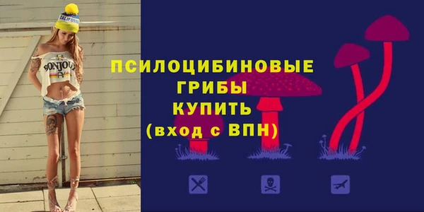 МДПВ Аркадак