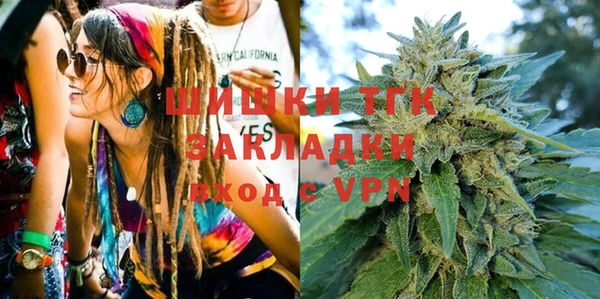 индика Арсеньев